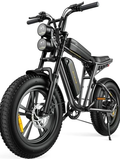 AKEZ Adult Electric Bike 1000W 28 mph 48V 13A 20*4.0in Fat Tire Full Suspension 7-Speed - M20