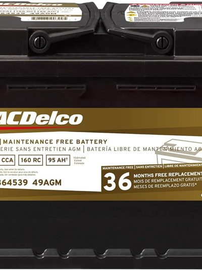 BCI Group 49 AGM Battery - Gold
