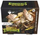 Magic: The Gathering Secrets of Strixhaven Collector Booster Box (12 Packs)