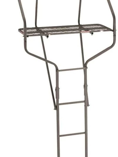 18' 2 Person Ladder Tree Stand