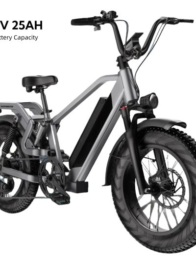 Adult Folding Electric Bike, 20in Fat Tire, 750W, 48V 25AH, 7 Speed, 20MPH - RS