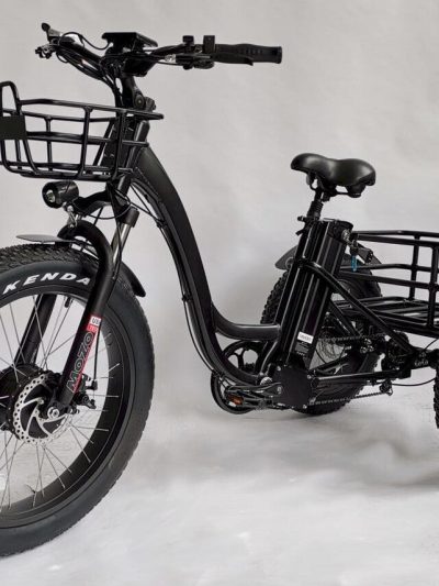 BaFang Fat Tire Electric Trike, 750W 48V 16AH Samsung Battery, 350 lbs Capacity
