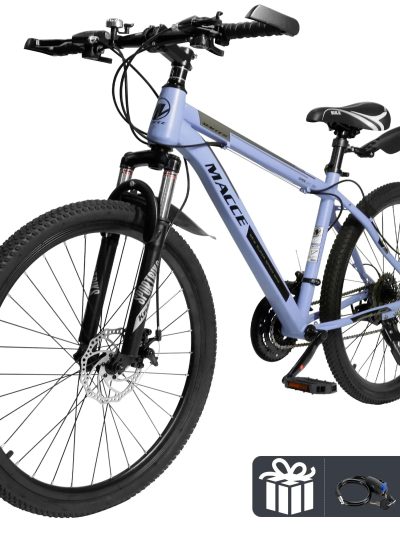 ARTUDATECH 26 Inch 27-Speed Dual Suspension Mountain Bike - Silver, Blue, Gray And Red